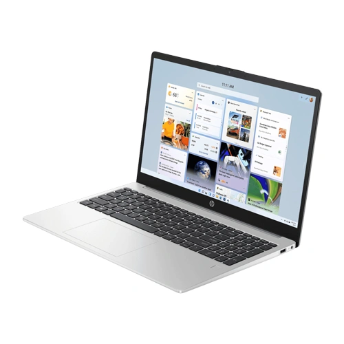 HP 250R G10 C91W6AT Laptop (Intel Core 3-100U/Silver)